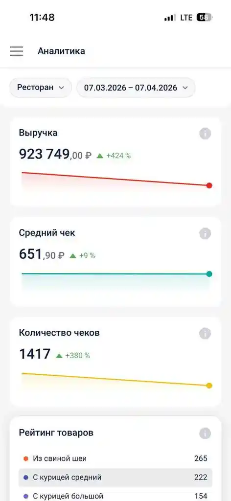 Две прибыльные точки Шаурма + Шашлык - фото 9 (фон)