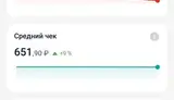 Две прибыльные точки Шаурма + Шашлык - миниатюра 9