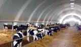 Ферма. Сельское хозяйство. С - миниатюра 1