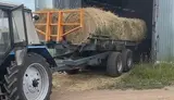 Ферма. Сельское хозяйство. С - миниатюра 3