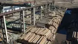 Деревообрабатывающий комплекс - миниатюра 1