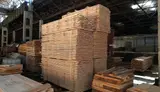 Деревообрабатывающий комплекс - миниатюра 3