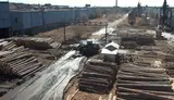 Деревообрабатывающий комплекс - миниатюра 8