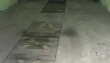 Арендный бизнес на правом берегу. С - миниатюра 3