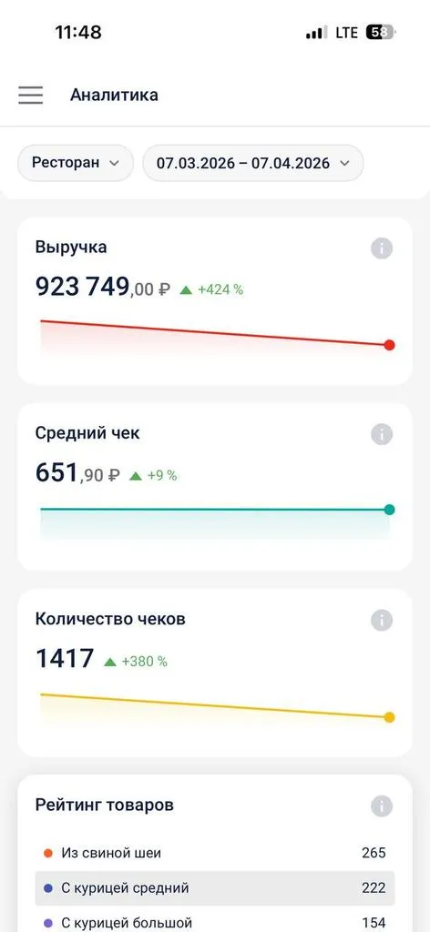 Две прибыльные точки Шаурма + Шашлык - фото 9