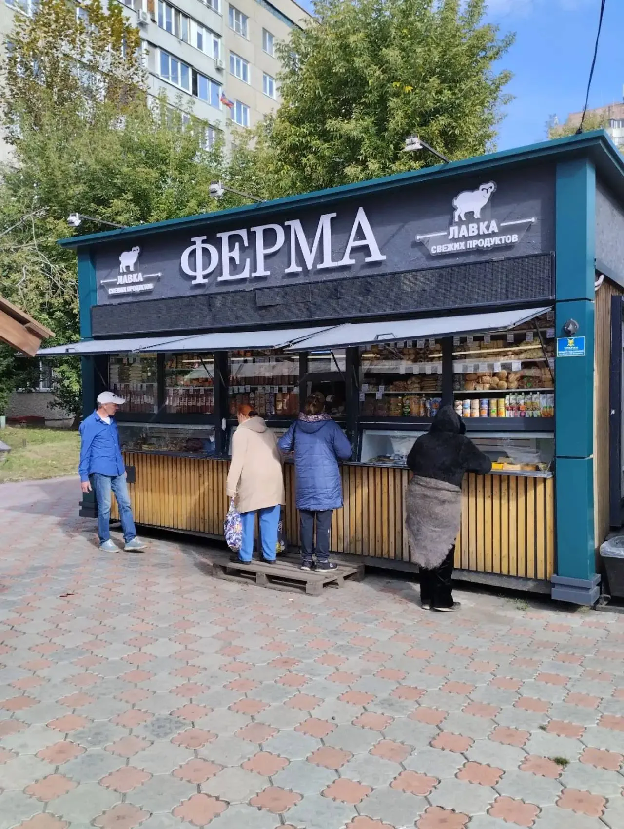 Купава в собственности с местом. Ж - фото бизнеса
