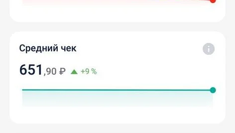 Две прибыльные точки Шаурма + Шашлык - фото 9