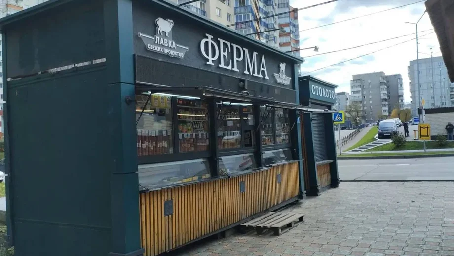 Купава в собственности с местом. Ж - фото 8