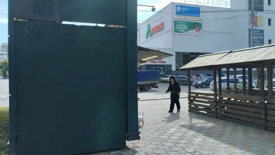 Купава в собственности с местом. Ж - фото 7