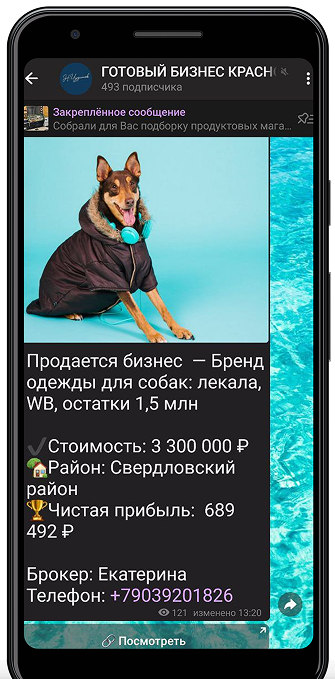 phone